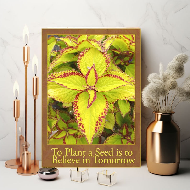 To Plant A Seed Is To Believe In Tomorrow - The Soulful Artists